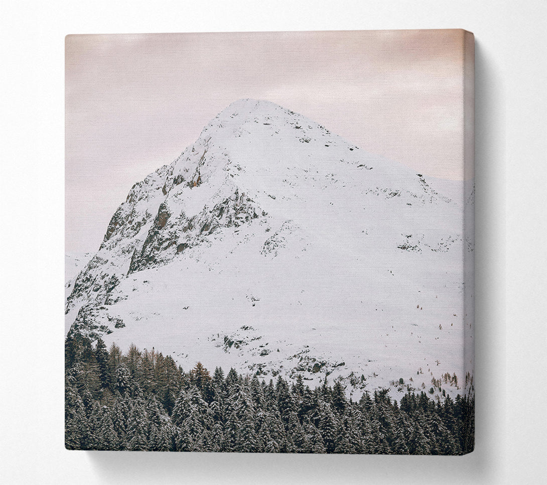  A Canvas Print of Pale Peak And Pines Canvas Print