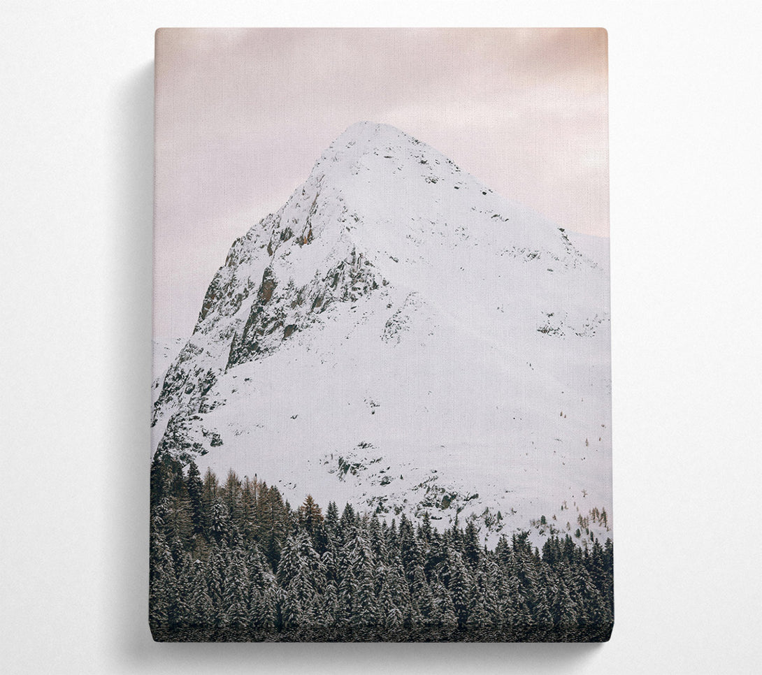  A Canvas Print of Pale Peak And Pines Canvas Print