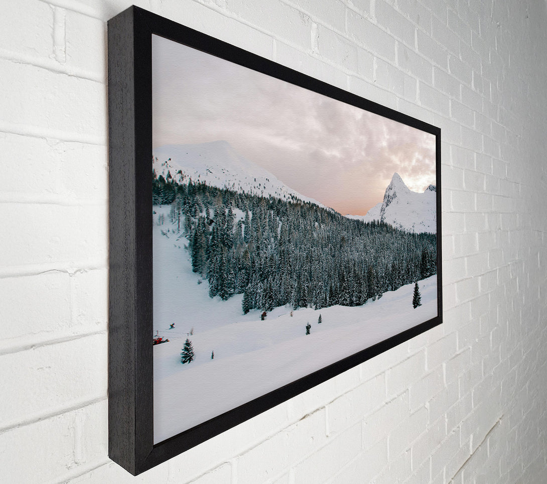  A Canvas Print of Pink Sky Over Pines Canvas Print