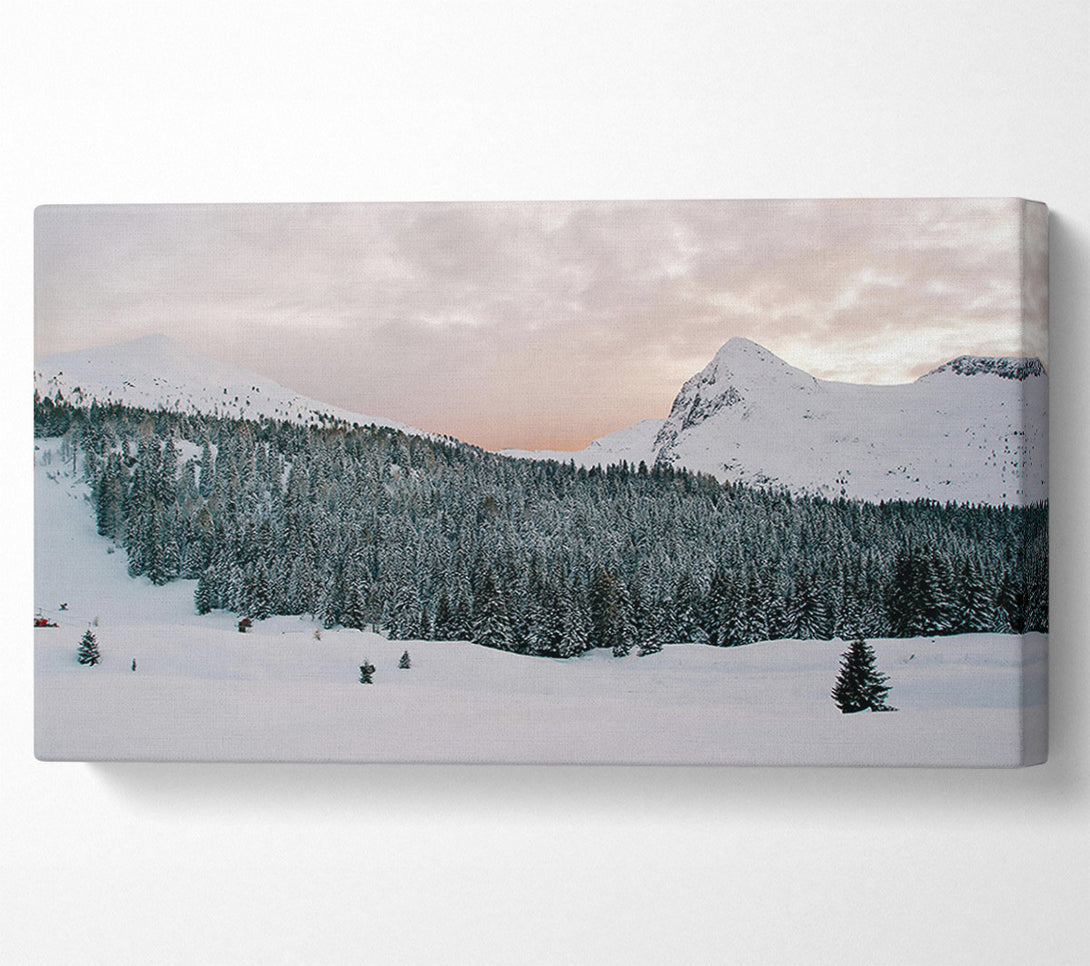  A Canvas Print of Pink Sky Over Pines Canvas Print