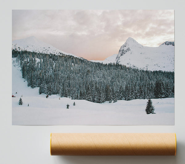 Pink Sky Over Pines Print