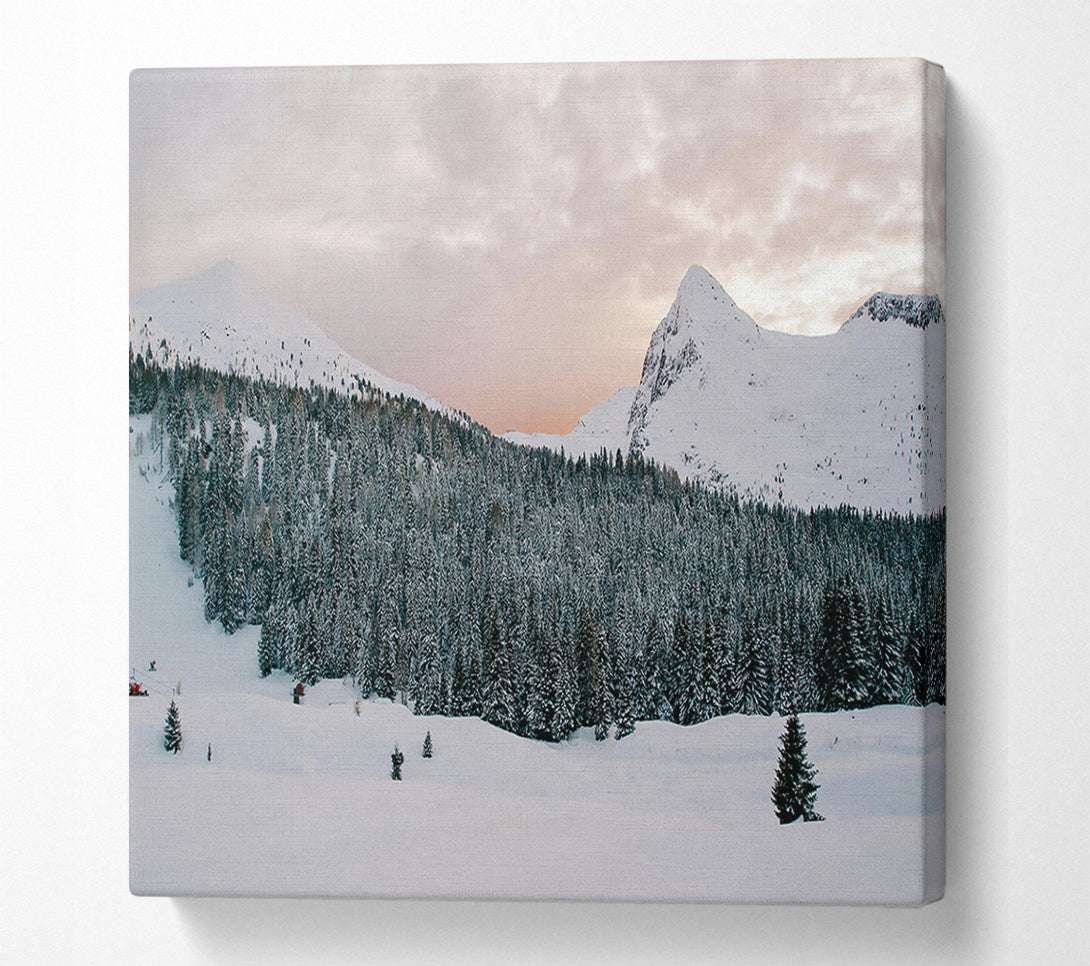  A Canvas Print of Pink Sky Over Pines Canvas Print