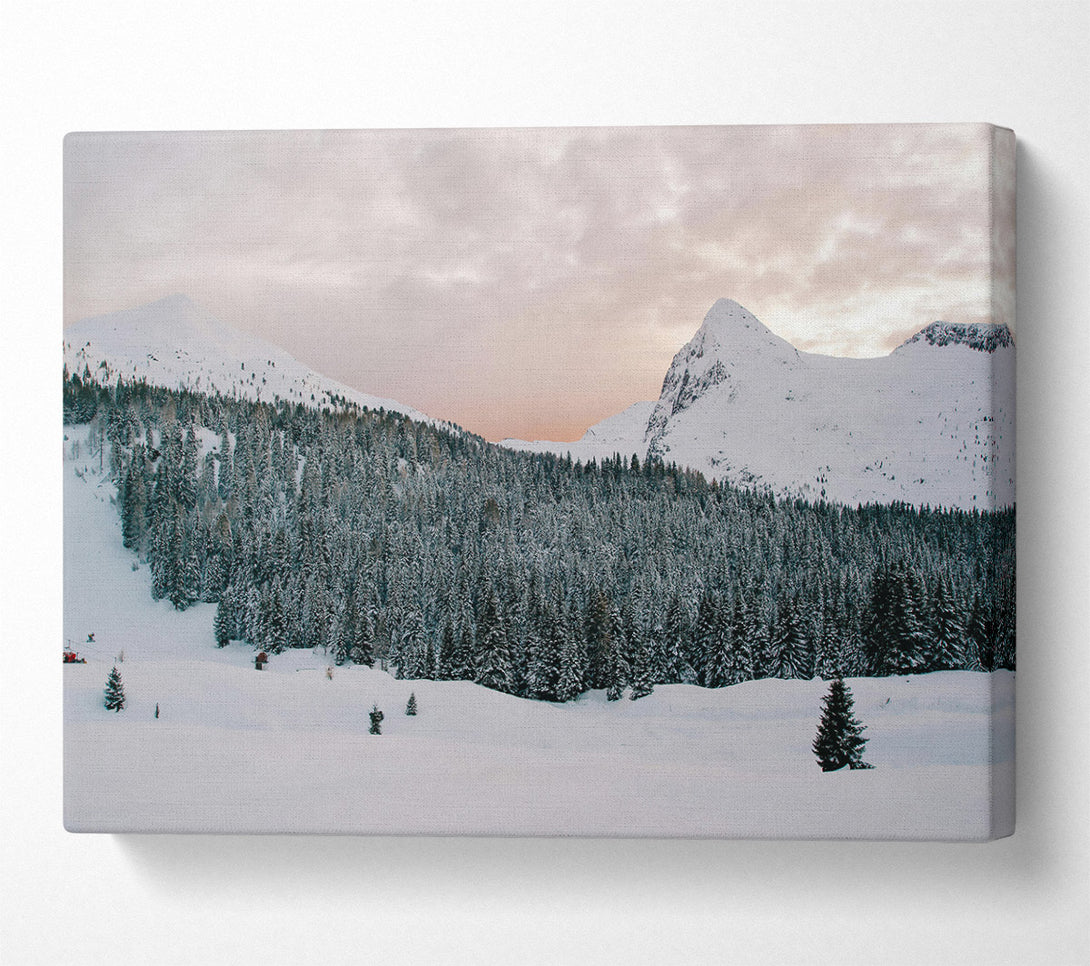 A Canvas Print of Pink Sky Over Pines Canvas Print