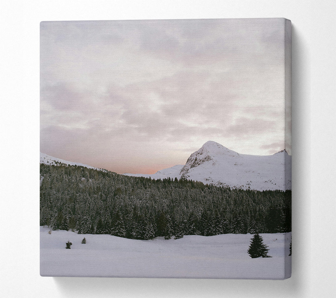  A Canvas Print of Pink Mountain Serenity Canvas Print