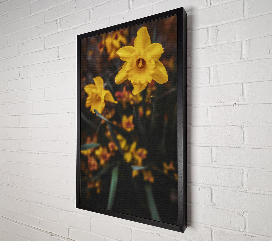  A Canvas Print of Golden Bloom In Focus Canvas Wall Art