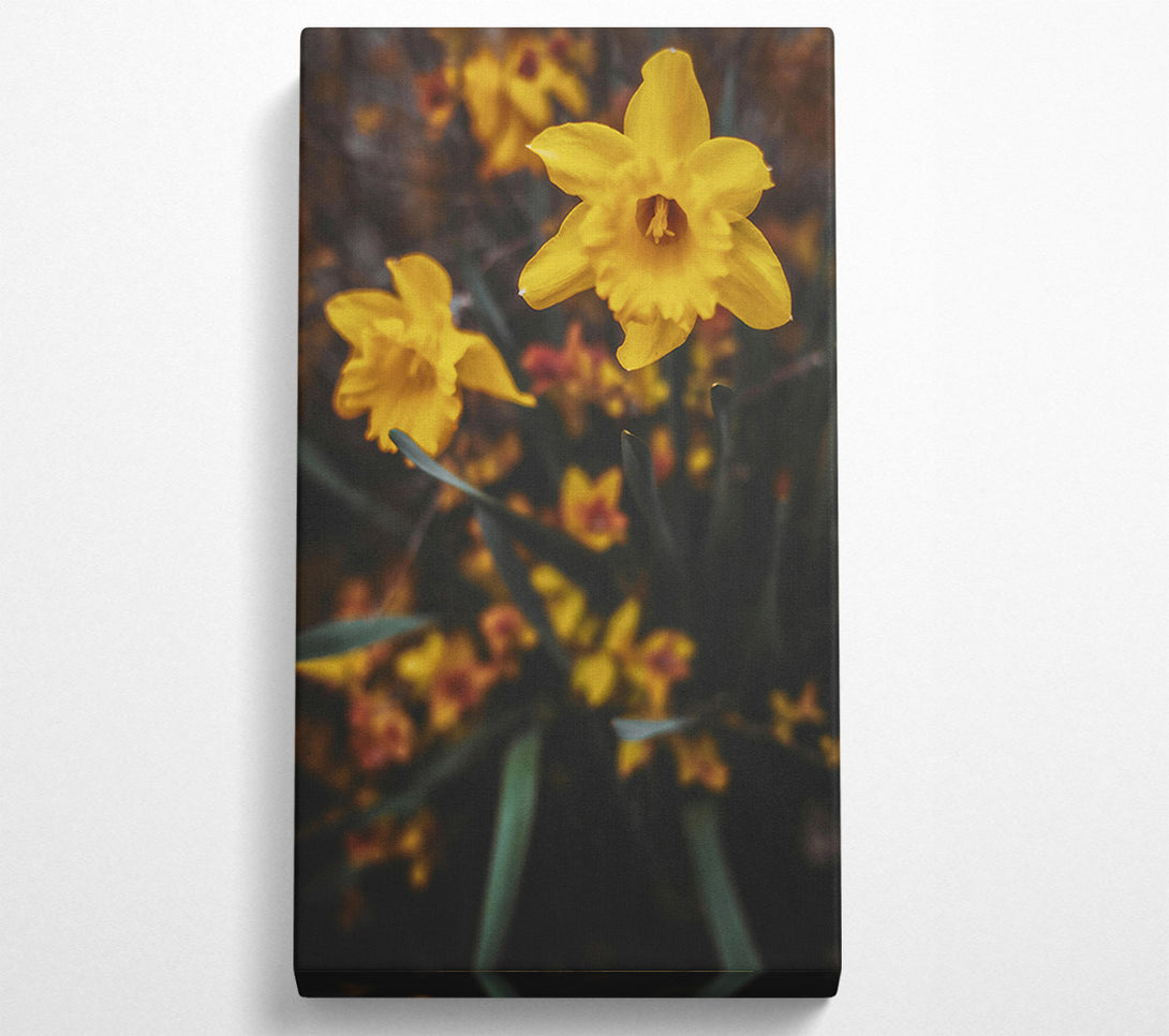  A Canvas Print of Golden Bloom In Focus Canvas Wall Art