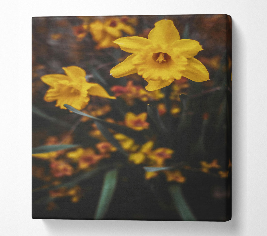  A Canvas Print of Golden Bloom In Focus Canvas Wall Art