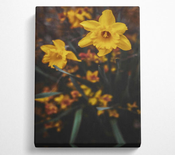  A Canvas Print of Golden Bloom In Focus Canvas Wall Art