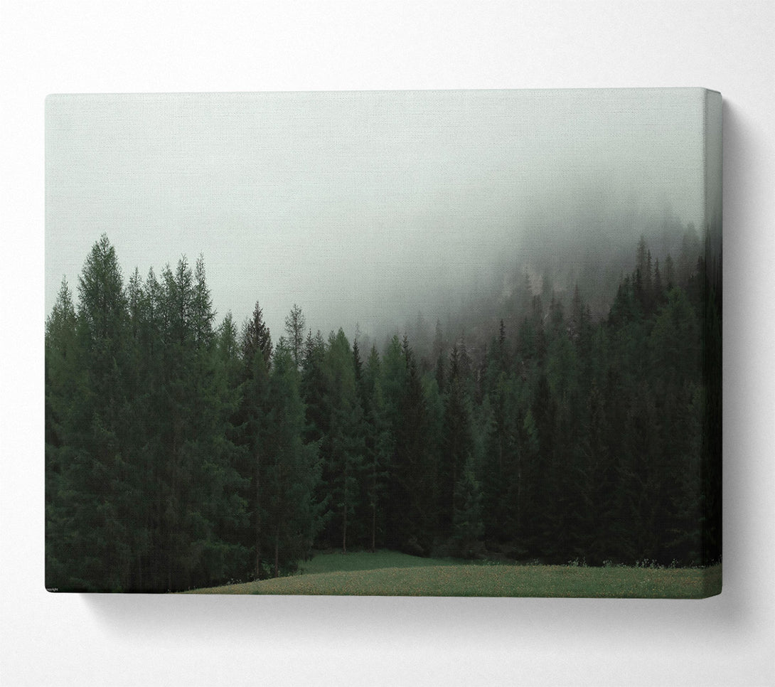  A Canvas Print of Green Foggy Forest Canvas Art