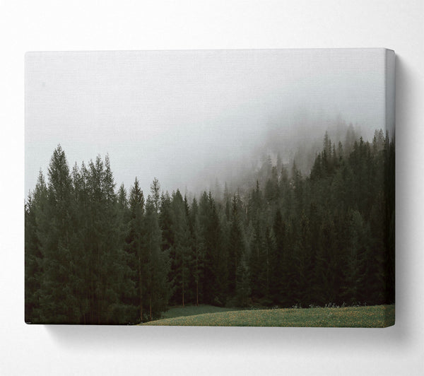 A Canvas Print of Green Foggy Forest Canvas Art