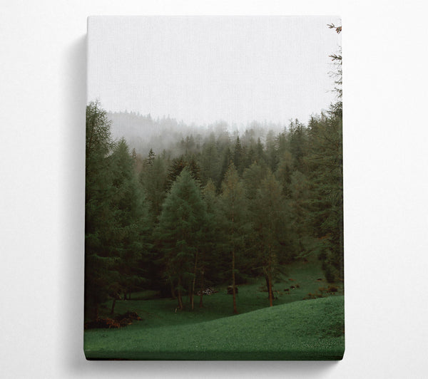  A Canvas Print of Emerald Foggy Forest Canvas Print