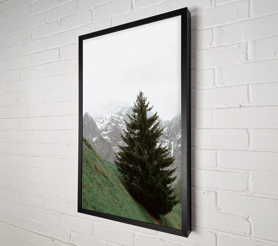  A Canvas Print of Green Pine And Mountain Canvas Art