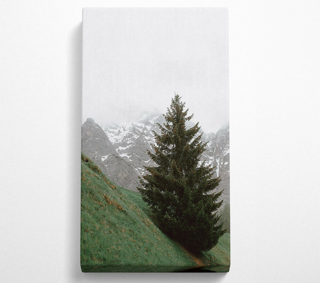  A Canvas Print of Green Pine And Mountain Canvas Art