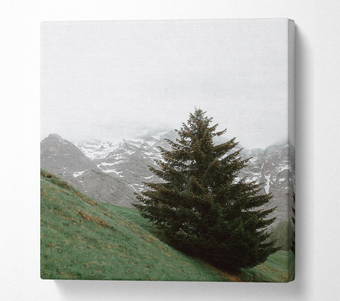  A Canvas Print of Green Pine And Mountain Canvas Art