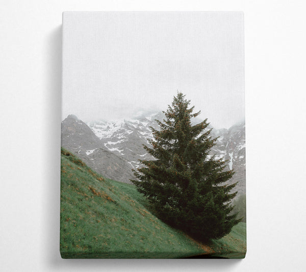  A Canvas Print of Green Pine And Mountain Canvas Art