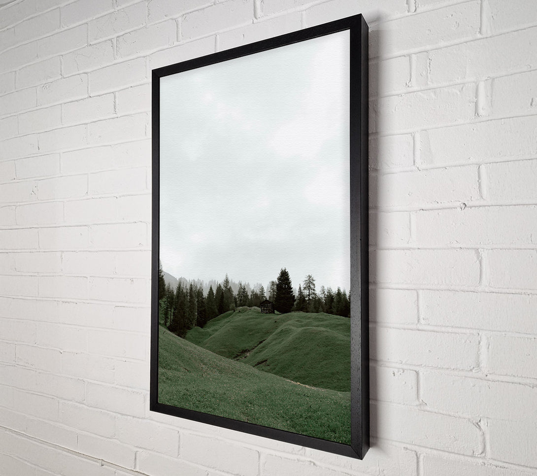  A Canvas Print of Green Meadow Solitude Canvas Print