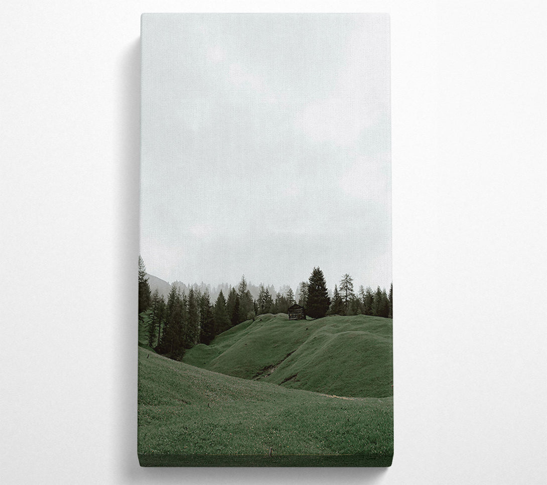  A Canvas Print of Green Meadow Solitude Canvas Print