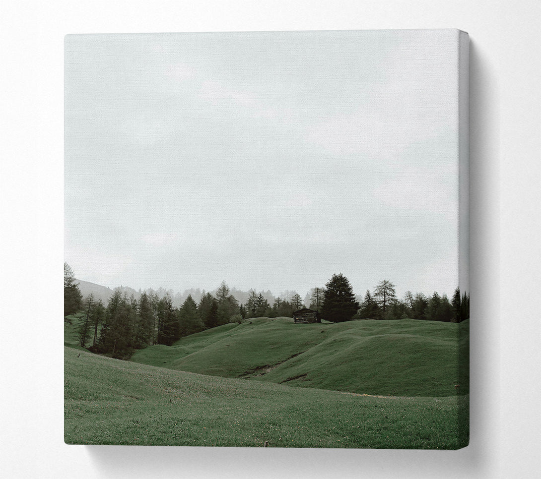  A Canvas Print of Green Meadow Solitude Canvas Print