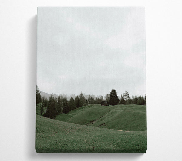  A Canvas Print of Green Meadow Solitude Canvas Print