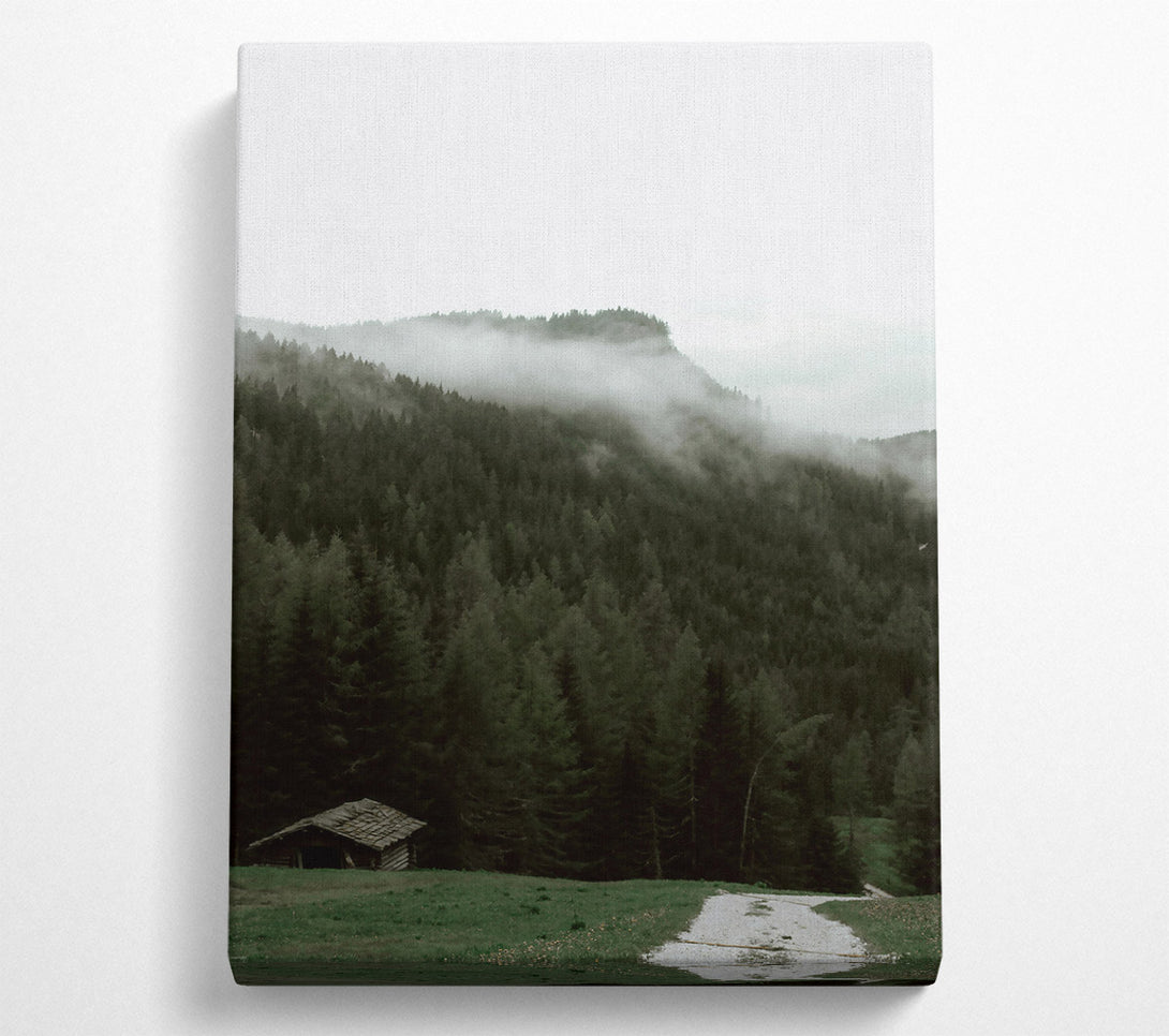  A Canvas Print of Green Forest Mist Canvas Print