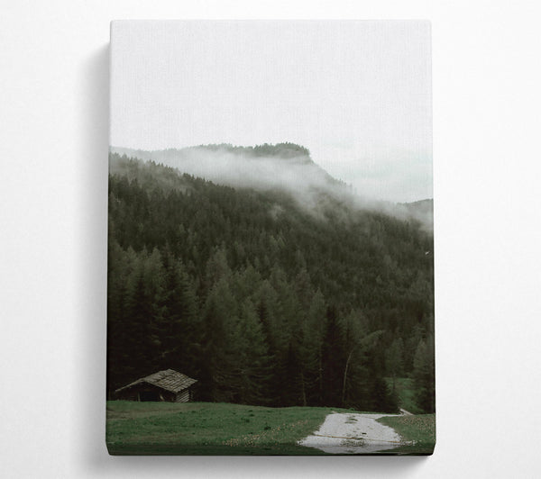  A Canvas Print of Green Forest Mist Canvas Print
