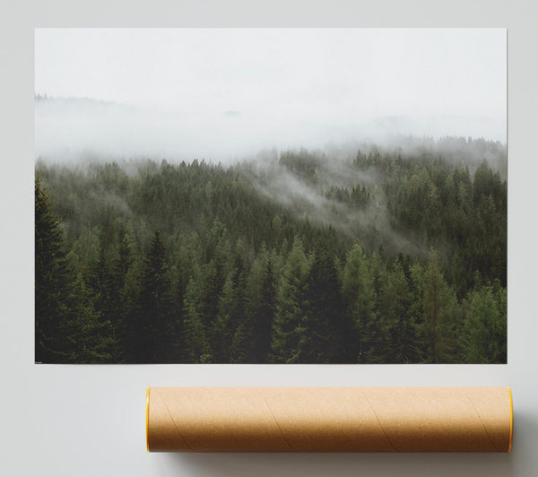 Emerald Mist Forest Giclee Print