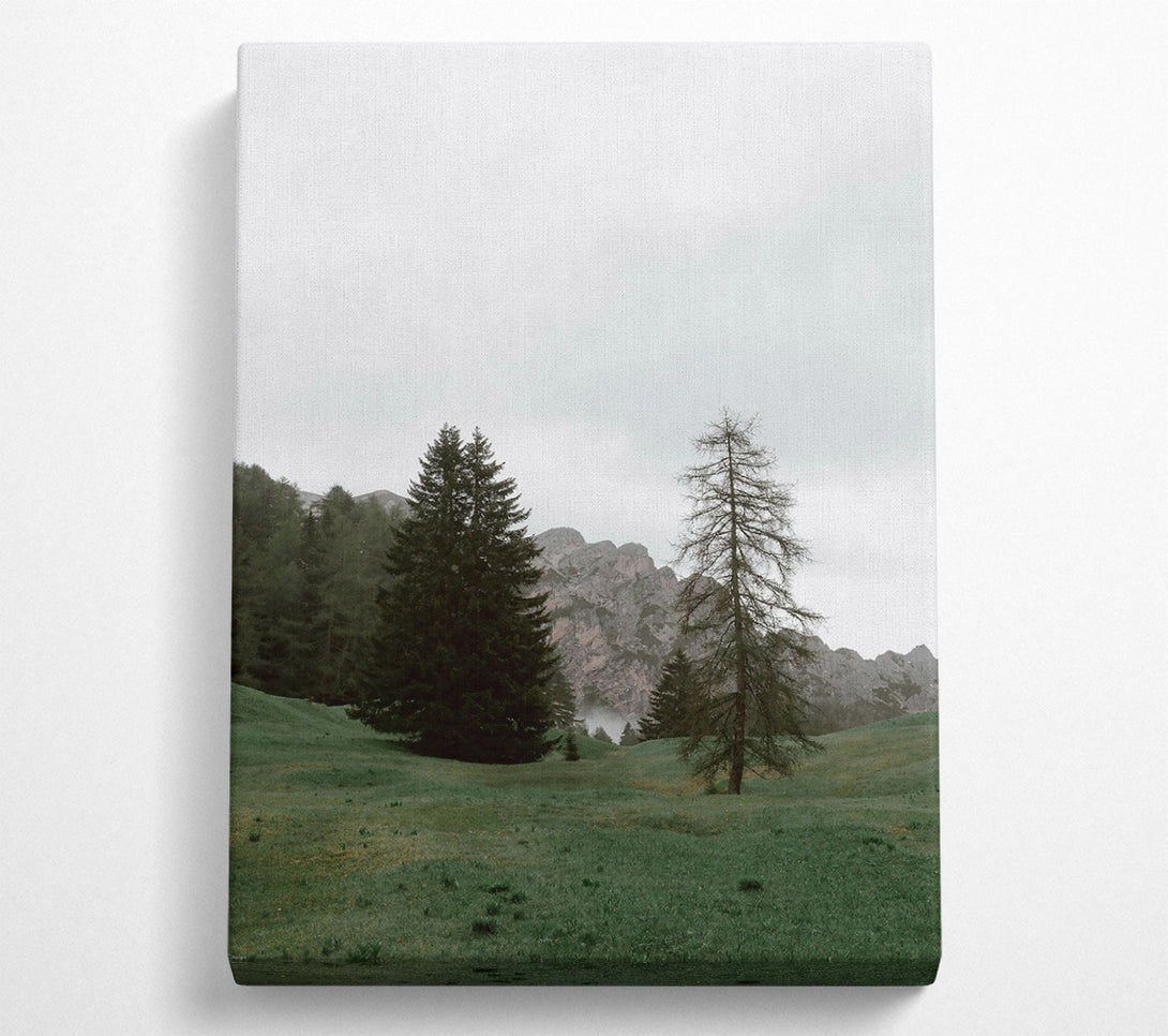  A Canvas Print of Green Mountain Mist Canvas Print