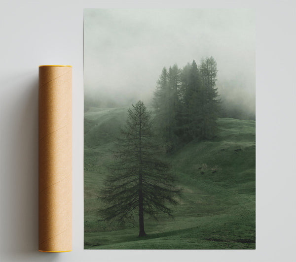 Emerald Foggy Pines Print