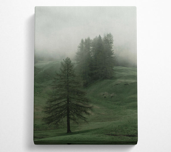  A Canvas Print of Emerald Foggy Pines Canvas Wall Art