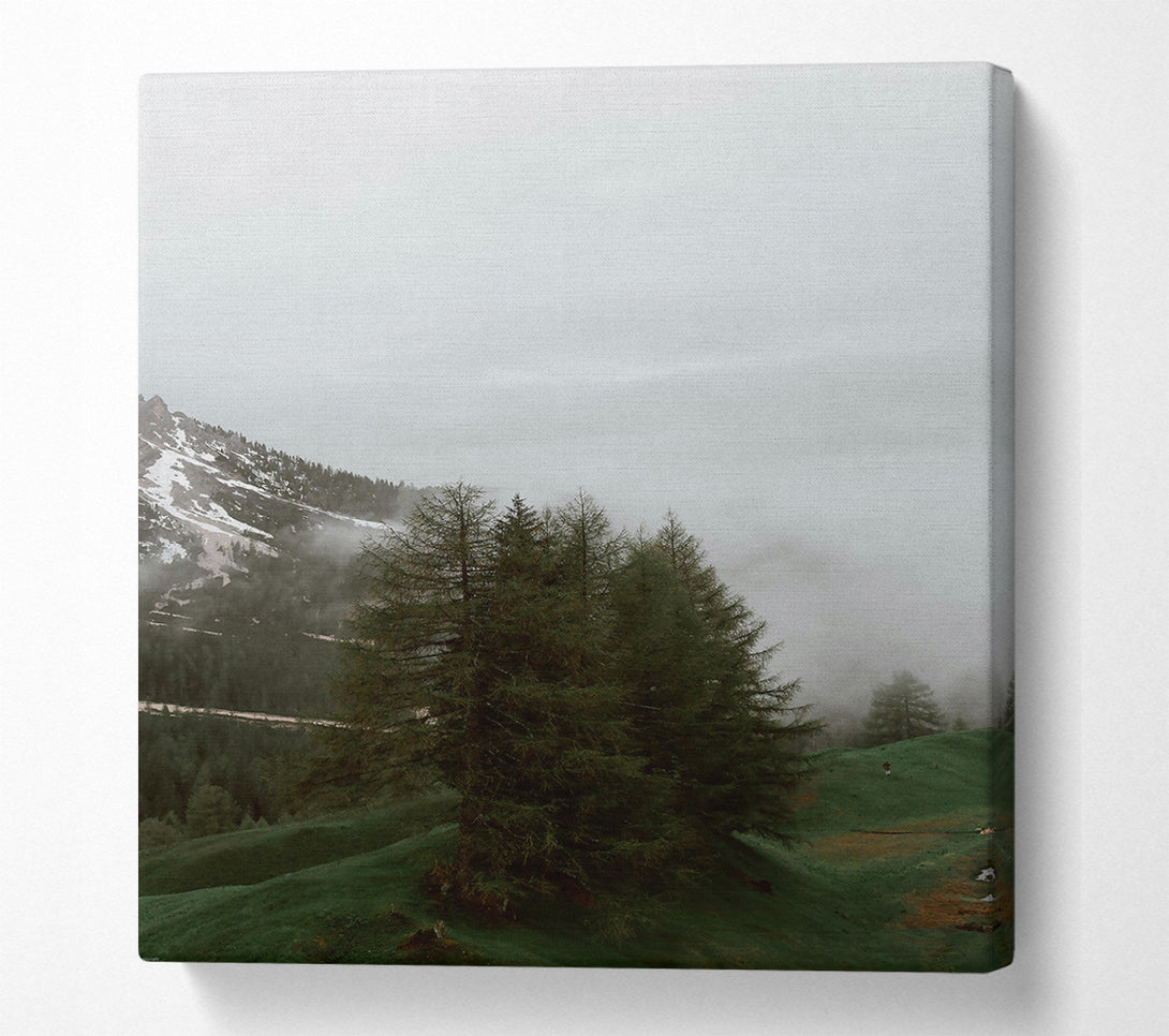 A Canvas Print of Green Mist Peaks Canvas Print