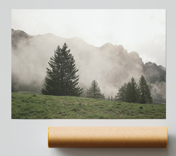 Pale Green Pines Print