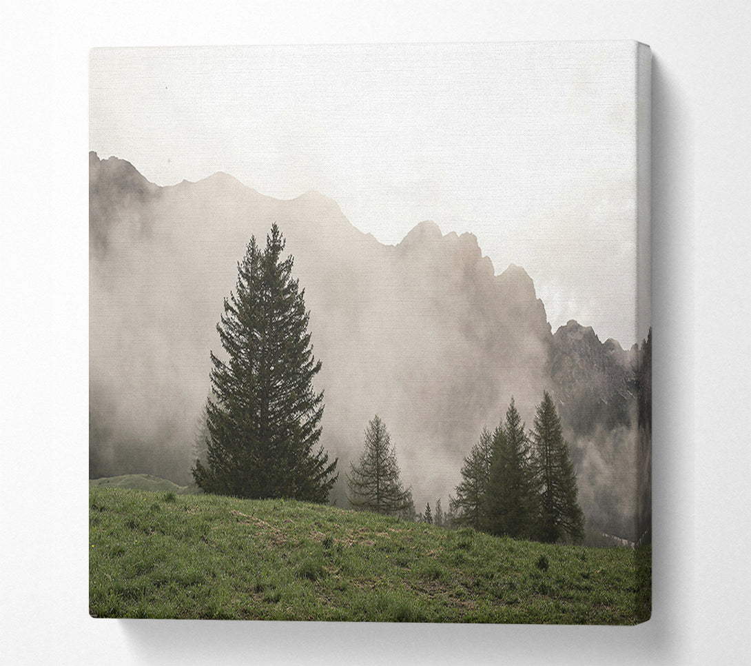  A Canvas Print of Pale Green Pines Canvas Print