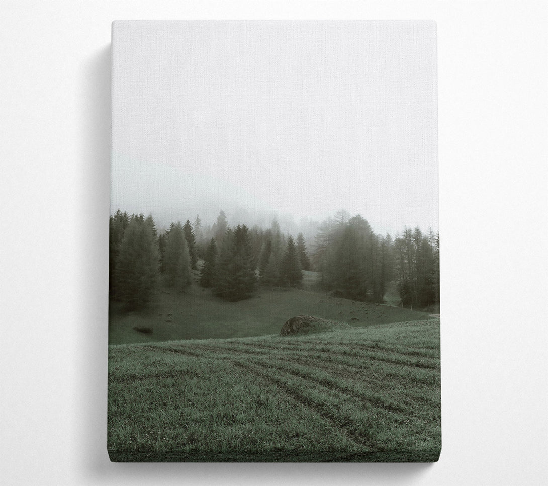  A Canvas Print of Green Foggy Forest Canvas Art