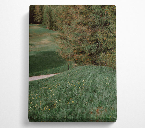  A Canvas Print of Emerald Forest Path Canvas Art