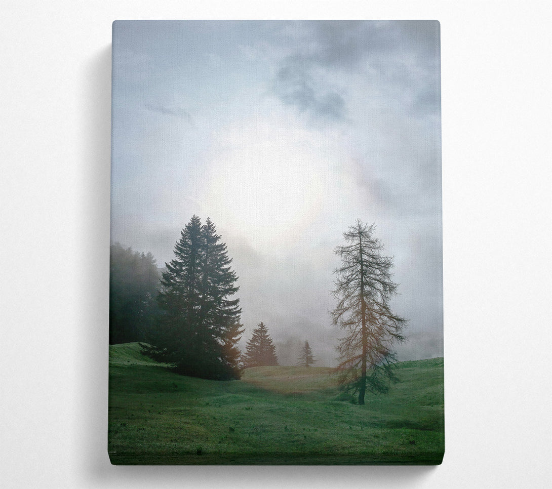 A Canvas Print of Green Foggy Forest Canvas Art