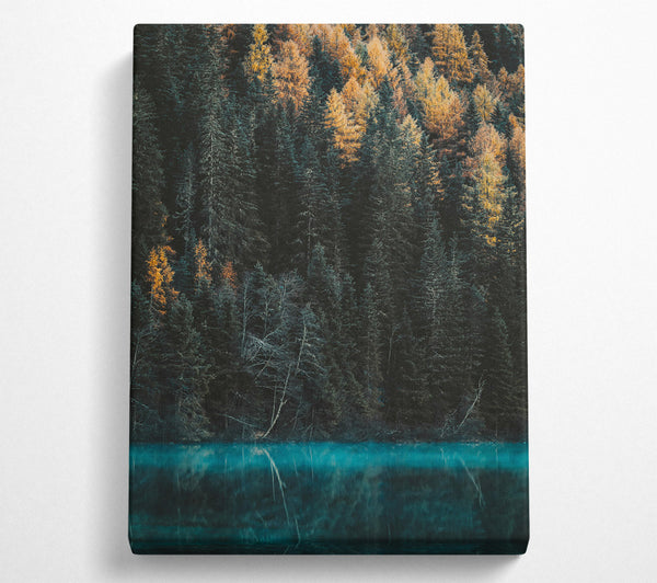  A Canvas Print of Teal Forest Reflection Canvas Print