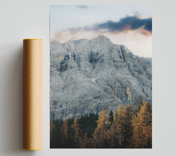 Gray Mountain And Pines Print