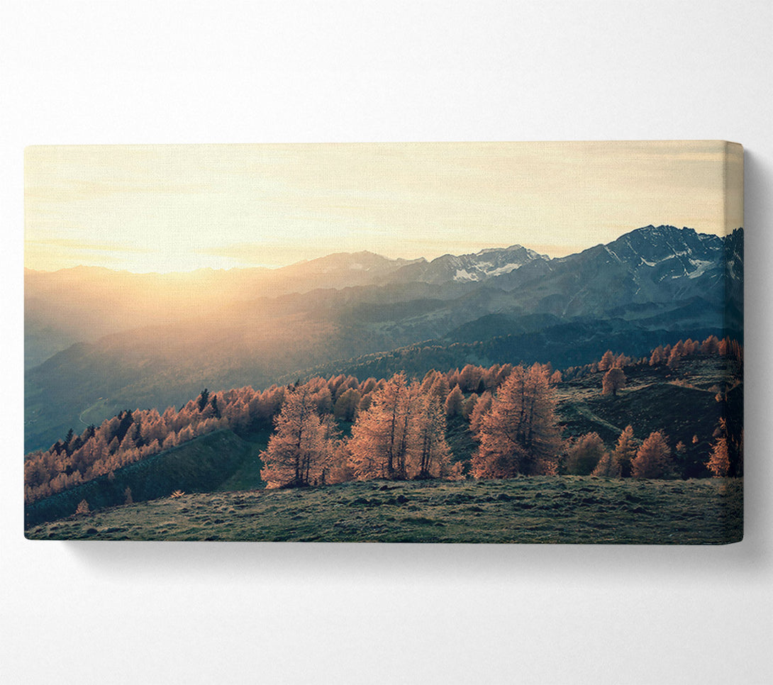  A Canvas Print of Golden Mountain Light Canvas Wall Art