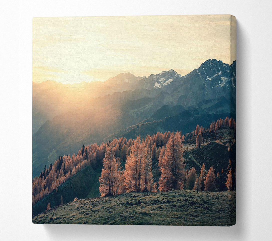  A Canvas Print of Golden Mountain Light Canvas Wall Art