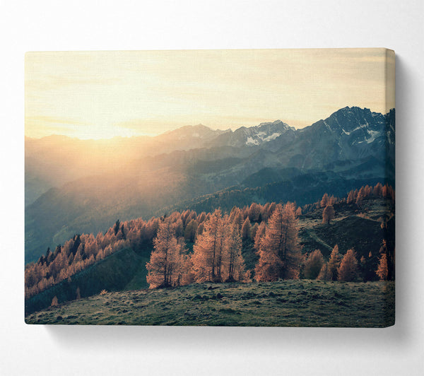  A Canvas Print of Golden Mountain Light Canvas Wall Art
