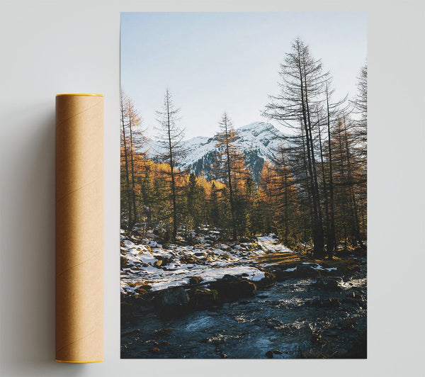 Blue Stream Through Pines Poster