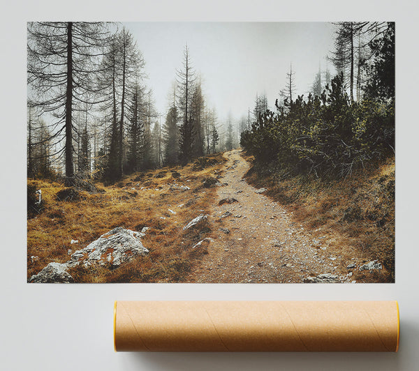 Golden Path Through Fog Poster