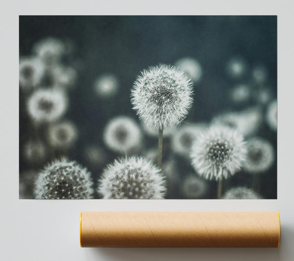 Teal Field Of Wishes Giclee Print