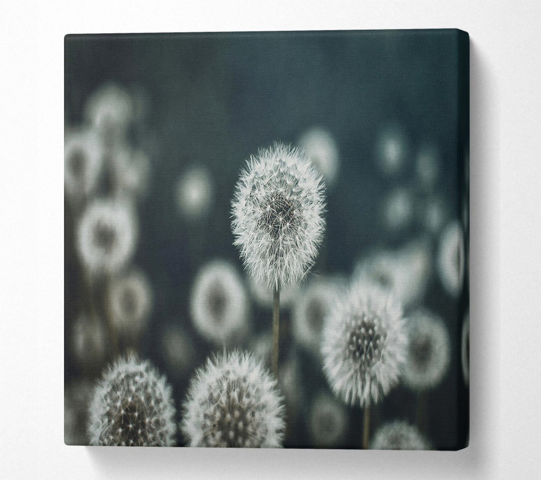  A Canvas Print of Teal Field Of Wishes Canvas Print