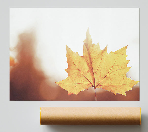 Golden Leaf Glow Print