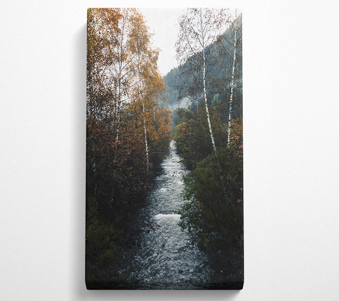  A Canvas Print of Golden Creek Flowing Canvas Wall Art