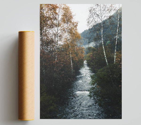 Golden Creek Flowing Poster