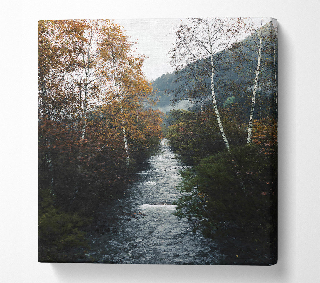  A Canvas Print of Golden Creek Flowing Canvas Wall Art