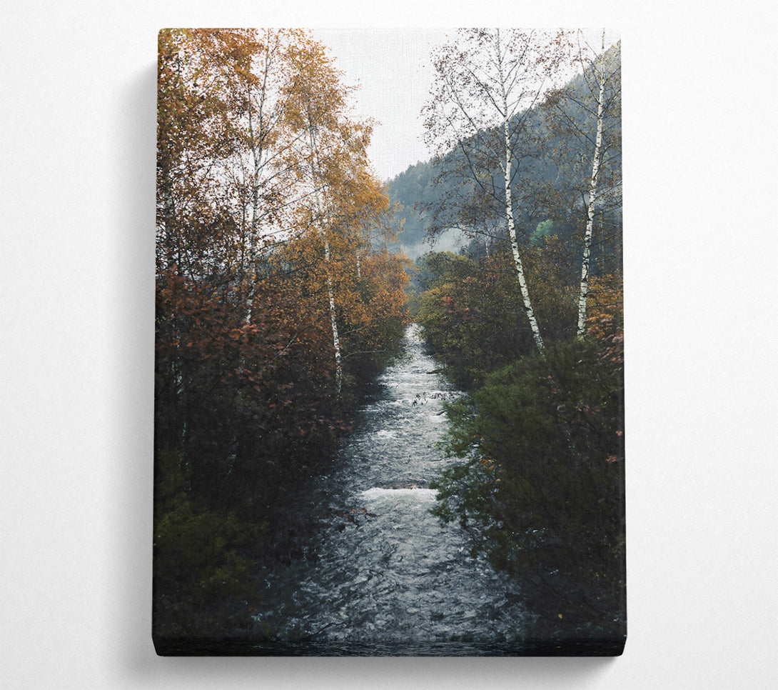  A Canvas Print of Golden Creek Flowing Canvas Wall Art