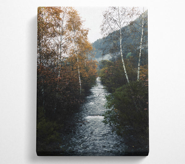  A Canvas Print of Golden Creek Flowing Canvas Wall Art
